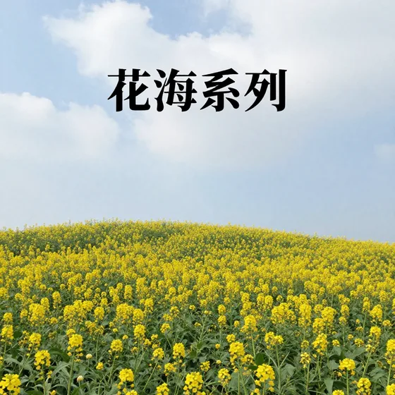 科技发展公司